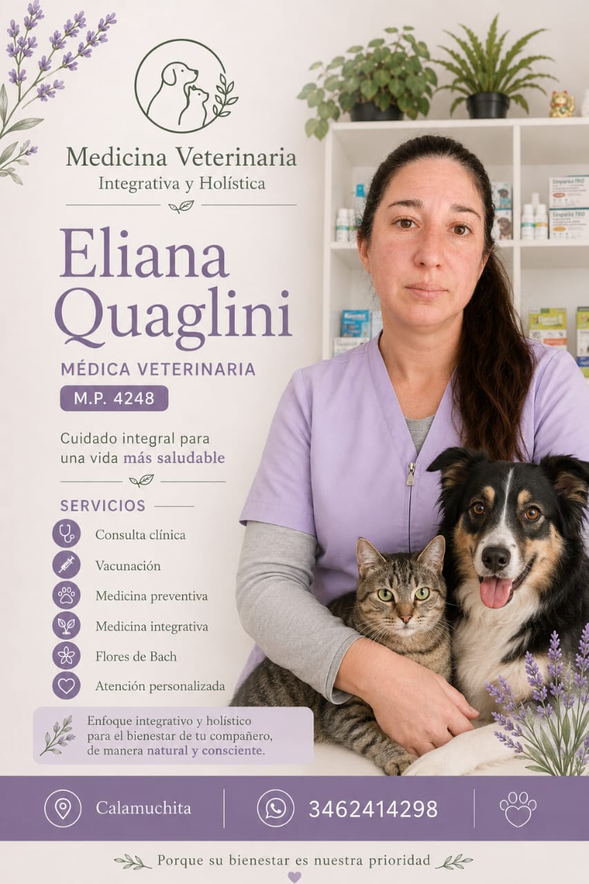Eliana Quaglini