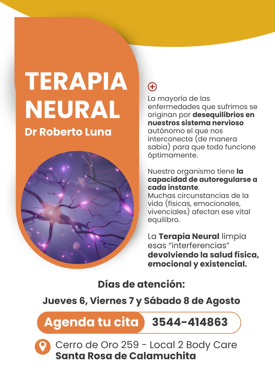 Dr Roberto Luna - Terapia Neural - Bioenergética - Flores de Bach — foto 4 de 4