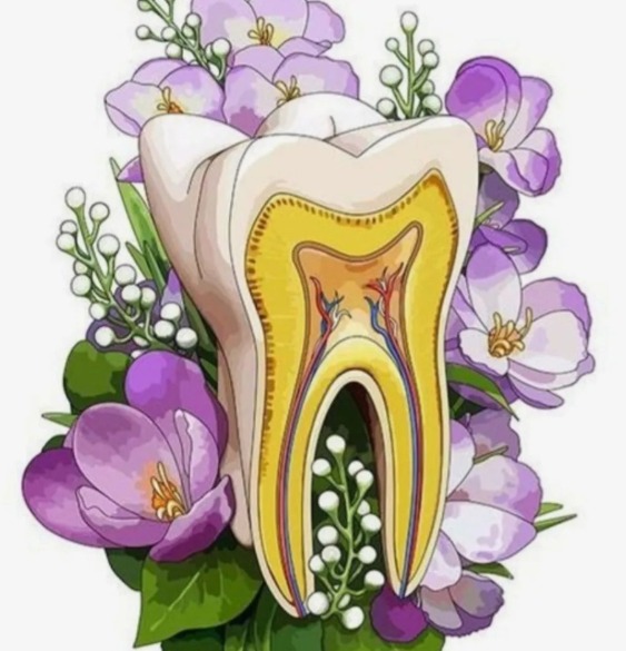 Storello Sofía - Odontología Consciente — foto 4 de 4