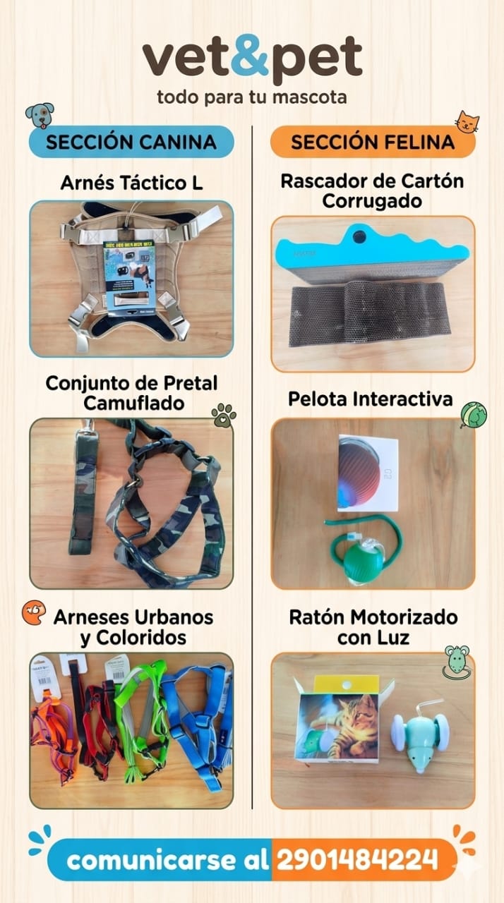 Vet & Pet — foto 3 de 4