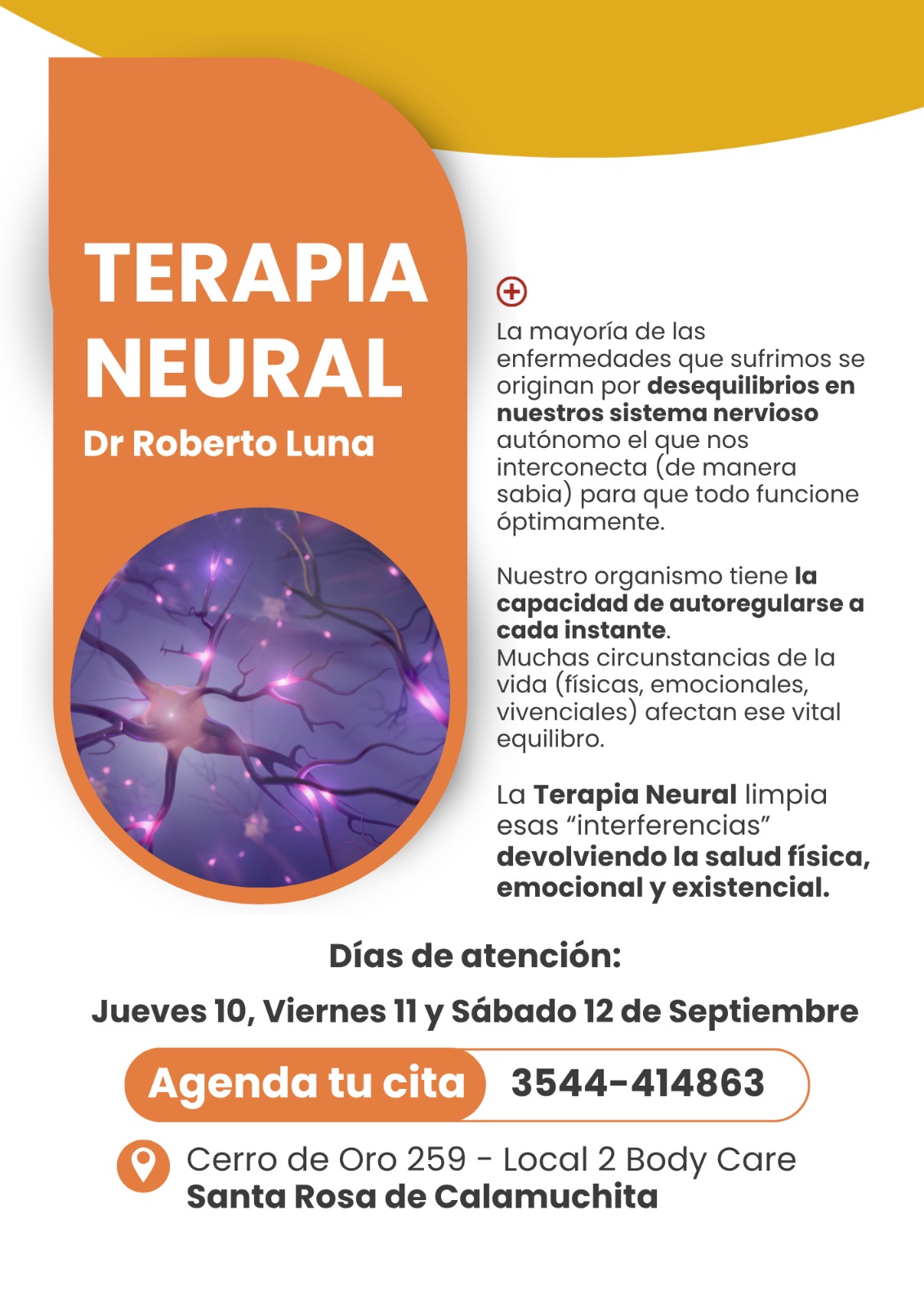 Terapia Neural del Dr Roberto Luna